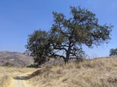 Enlarge photo 55