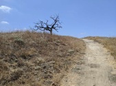 Enlarge photo 56