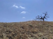 Enlarge photo 57