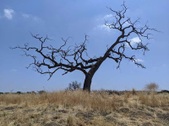 Enlarge photo 58
