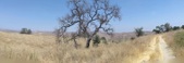 Enlarge photo 63
