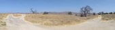 Enlarge photo 62