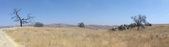 Enlarge photo 64