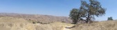 Enlarge photo 65