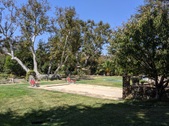 Enlarge photo 37