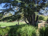 Enlarge photo 46