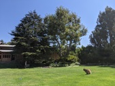 Enlarge photo 50
