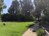 Enlarge photo 51