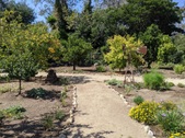 Enlarge photo 52