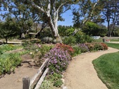 Enlarge photo 53