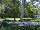Enlarge photo 36