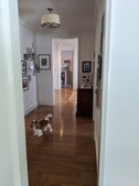 Enlarge photo 61