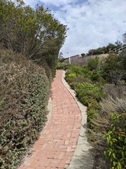 Enlarge photo 73