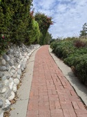 Enlarge photo 74
