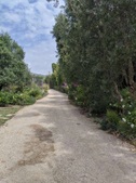 Enlarge photo 108