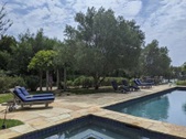 Enlarge photo 115