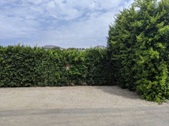 Enlarge photo 116