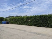 Enlarge photo 117