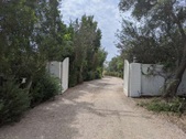 Enlarge photo 119