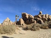 Enlarge photo 19