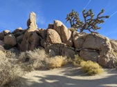 Enlarge photo 25