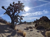 Enlarge photo 26