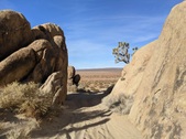 Enlarge photo 34