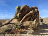 Enlarge photo 35