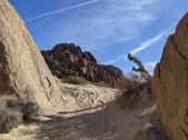 Enlarge photo 39