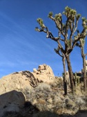Enlarge photo 44