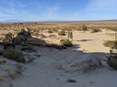 Enlarge photo 54