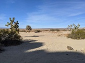 Enlarge photo 55