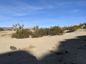 Enlarge photo 56