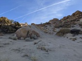 Enlarge photo 58