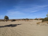 Enlarge photo 62