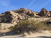 Enlarge photo 63