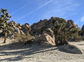 Enlarge photo 64