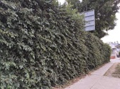 Enlarge photo 35