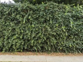 Enlarge photo 36