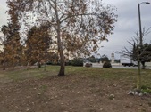 Enlarge photo 38