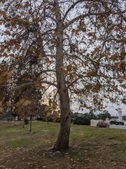 Enlarge photo 39