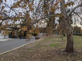 Enlarge photo 40