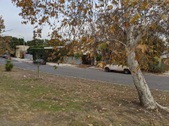 Enlarge photo 41