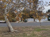 Enlarge photo 42