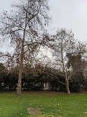 Enlarge photo 43