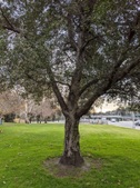 Enlarge photo 44