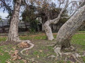 Enlarge photo 45
