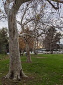 Enlarge photo 46