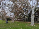 Enlarge photo 47