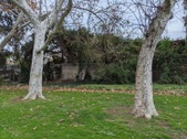 Enlarge photo 48